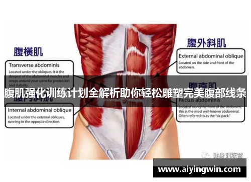 腹肌强化训练计划全解析助你轻松雕塑完美腹部线条