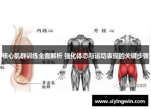 核心肌群训练全面解析 强化体态与运动表现的关键步骤